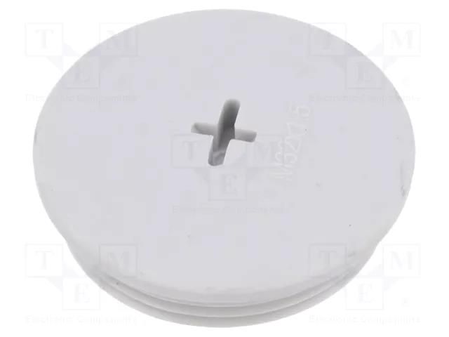 Stopper; M32; 1.5; IP68; polyamide; light grey; Entrelec; 8mm TE Connectivity 1SNG620028R0000