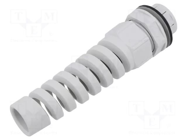 Cable gland; M25; IP68; polyamide; light grey; SKINTOP® LAPP LP-53112890