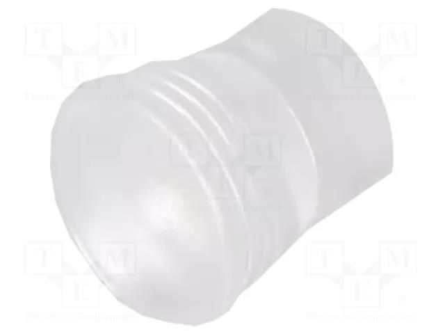 Fiber for LED; Ø5.2mm; L: 4.5mm; round; Front: flat; straight; IP68 MENTOR MR-1293.1402