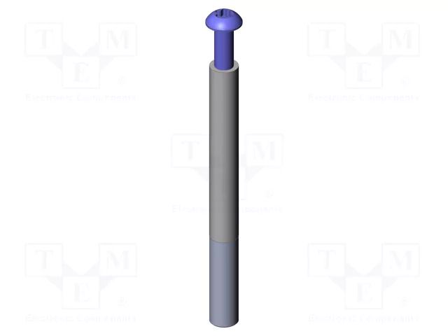 Push rod; Ø: 6mm; screw-in; L: 60mm; Thread: M4x10 INGUN IGN-43611