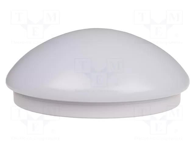 Ceiling light; Connection: screw terminals F&F DRM-L