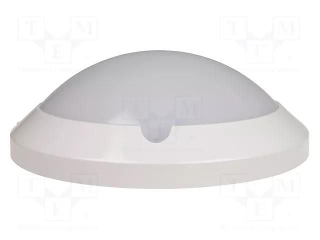 Sensor: microwave motion detector; Connection: screw terminals F&F DRM-04