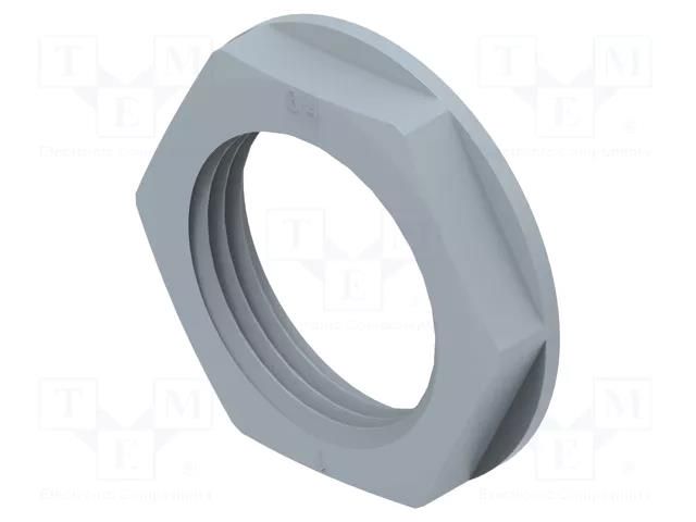 Nut; NPT3/4"; polyamide; 33mm; grey; Thread: inch,NPT; Entrelec TE Connectivity 1SNG607035R0000