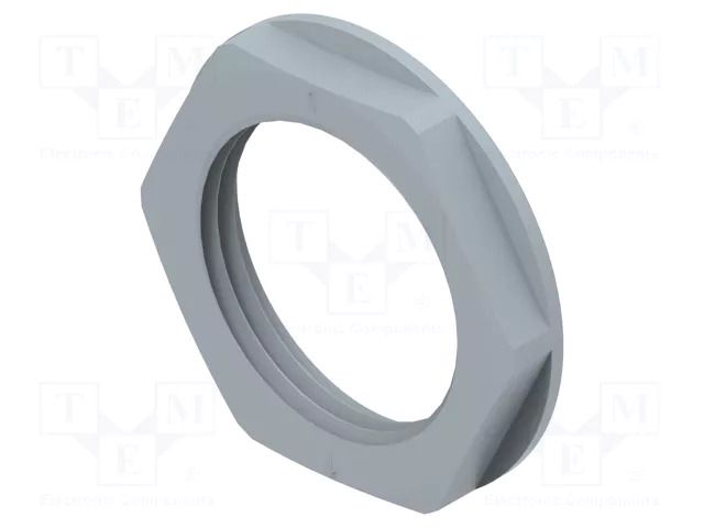 Nut; NPT1"; polyamide; 31mm; grey; Thread: inch,NPT; Entrelec TE Connectivity 1SNG607038R0000