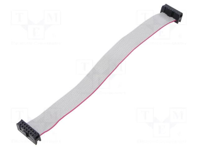 Ribbon cable with IDC connectors; Tape ph: 1.27mm; 0.2m CONNFLY DS1052-142B2NA2020