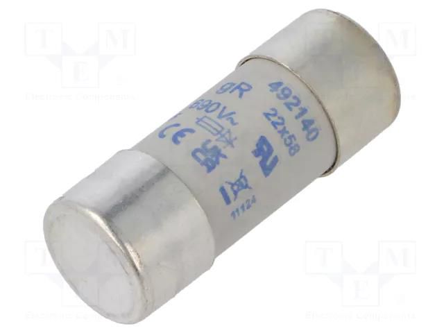 Fuse: fuse; 100A; 690VAC; 447VDC; gR; 22x58mm DF ELECTRIC 492140