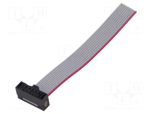Ribbon cable with IDC connectors; IDC,wires; Tape ph: 0.64mm SAMTEC FFSD05S020001NRW