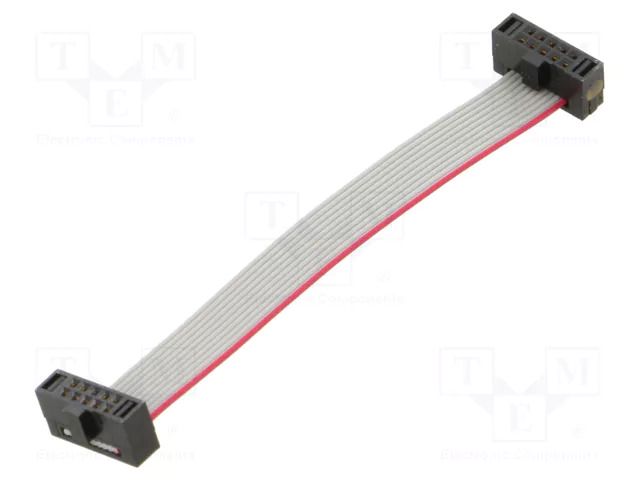 Ribbon cable with IDC connectors; IDC,both sides; 63.5mm; 2.5" SAMTEC FFSD05D025001N