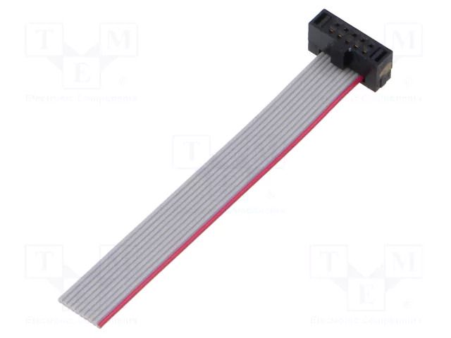 Ribbon cable with IDC connectors; IDC,wires; Tape ph: 0.64mm SAMTEC FFSD05S020001N