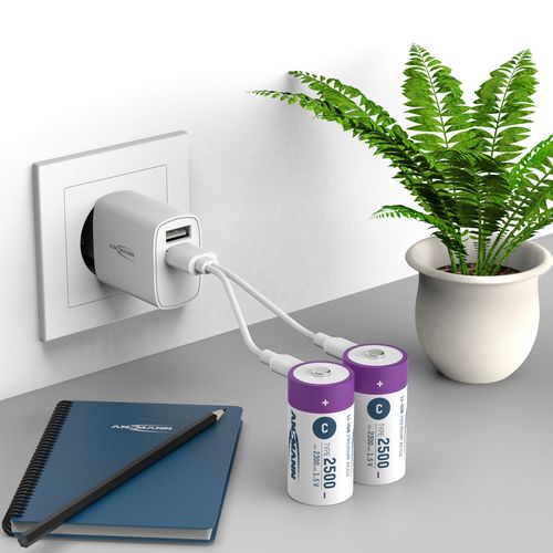 Laetav aku C 1,5 V 2500 mAh (Li-Ion 4,07 Wh), USB-C tippväljundvõimsusega DC 1,5 V 2,5 A (2tk kast) ANSMANN 1313-0004 4013674193981