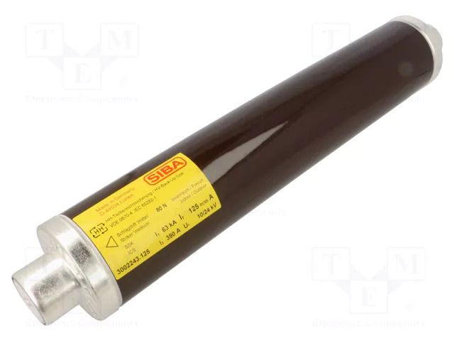 Fuse: fuse; 125A; 10kV; ceramic,cylindrical,industrial SIBA 3002243.125