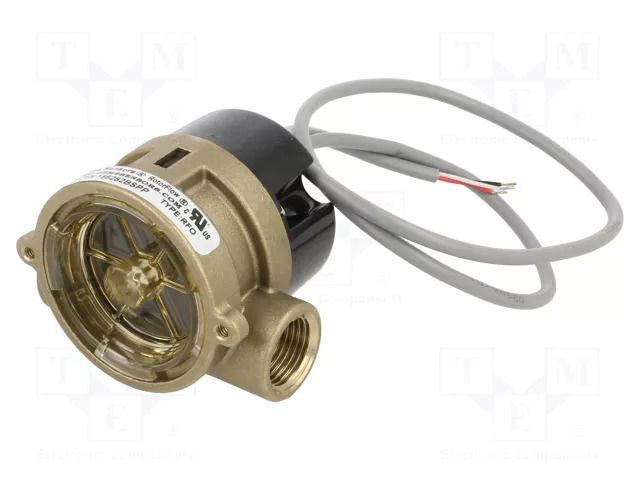 Module: signaller; Control.param: fluid flow; max.100°C; 0.6m GEMS SENSORS 156262BSPP