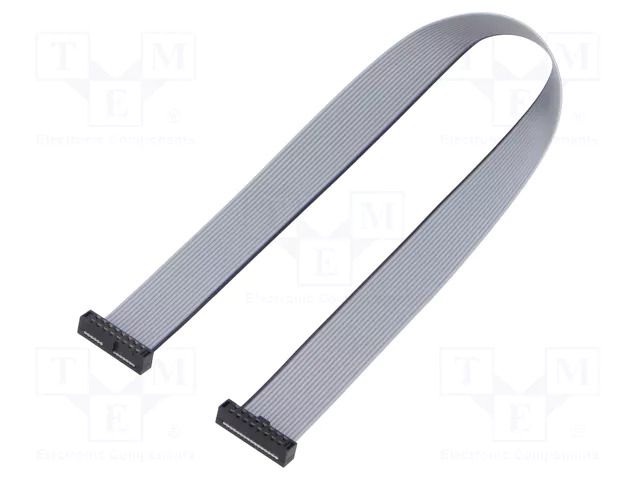 Ribbon cable with IDC connectors; IDC,both sides; Tape ph: 1mm SAMTEC TCSD08D120001N
