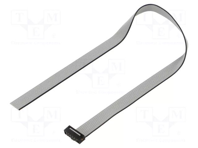 Ribbon cable with IDC connectors; IDC,wires; Tape ph: 1mm; 12" SAMTEC TCSD05S120001N