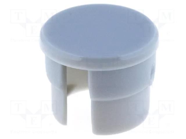 Cap; polyamide; grey; 10mm; -20÷70°C RITEL G10Z-G