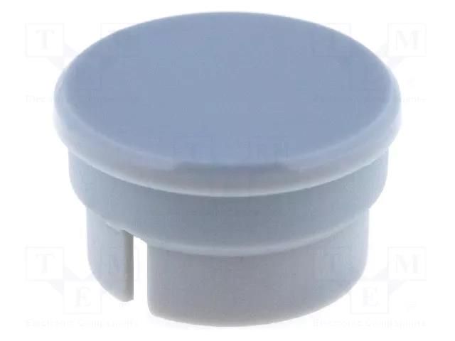 Cap; polyamide; grey; 15mm; -20÷70°C RITEL G15Z-G