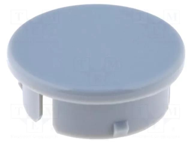 Cap; polyamide; grey; 21mm; -20÷70°C RITEL G21Z-G