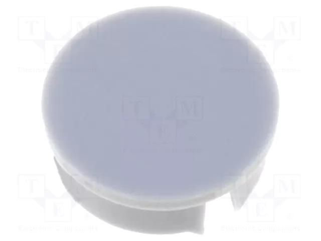 Cap; grey; Mounting: push-in; plastic MENTOR G4129.064