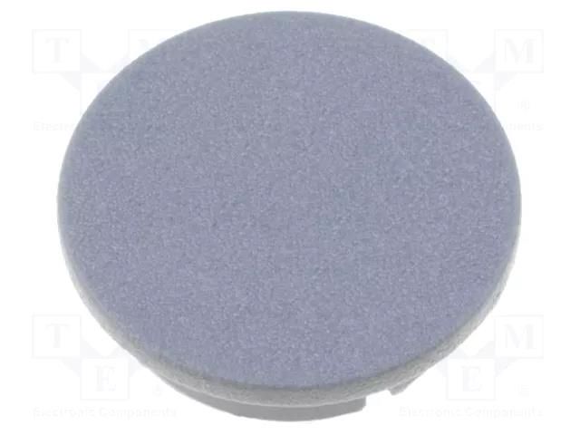 Cap; plastic; grey; push-in MENTOR G4311.0041