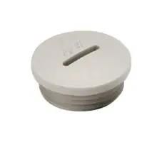 BLANKING PLUG, M40, GF NYLON 6, 46MM VP M40 K54