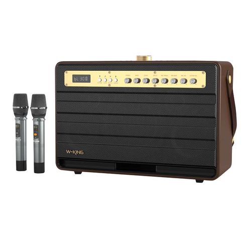 Wireless Bluetooth Speaker W-KING K6L 120W + 2 microphones (brown), W-KING K6L brown