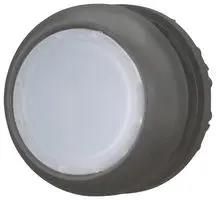 ILLUMINATED PB, FLUSH, WHITE M22S-DL-W