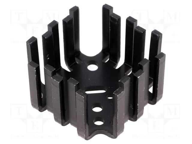 Heatsink: moulded; SOT9,TO3,TO66; black; 45x45x25.4mm; 6K/W FISCHER ELEKTRONIK FK2010