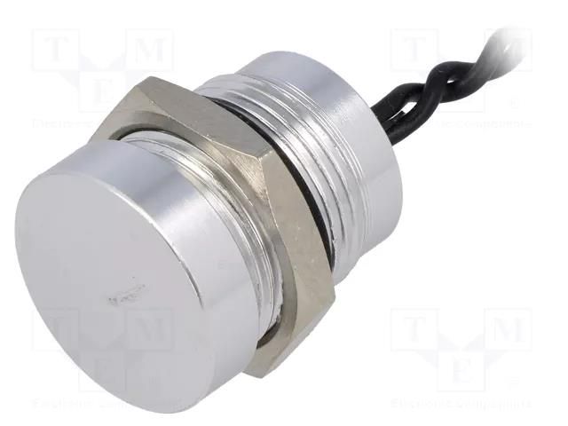 Switch: piezoelectric; Pos: 2; SPST-NO; 0.2A/24VAC; 0.2A/24VDC ONPOW PS165P10Y01