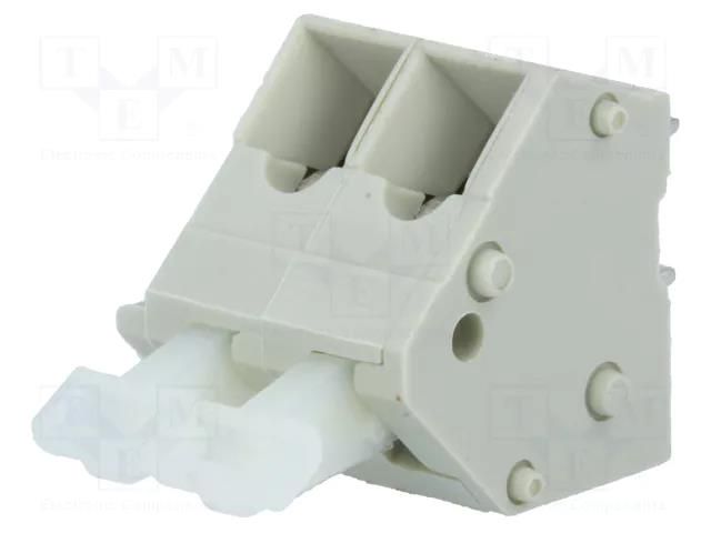 Connector: PCB terminal block; terminal; 24A; 250V; angled 45° PTR MESSTECHNIK TB-5.0-PD-2P