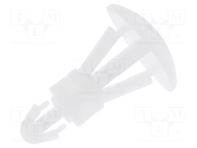 Assembly stud; polyamide; L: 8mm; snap fastener; natural; UL94V-2 FIX&FASTEN FIX-RCC-8