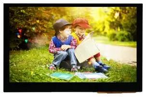 LCD TFT DISPLAY, 4.3", 800X480P, RGB MP010828