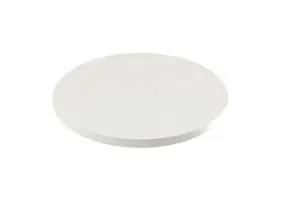 ROUND PLUNGER, WHITE, 2.1MM LENGTH 5.46.169.064/0209