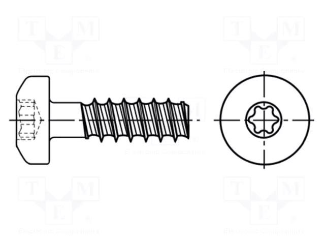Screw; for plastic; 2.5x8; Head: cheese head; Torx® PLUS; 8IP BOSSARD B2.5X8/BN20166