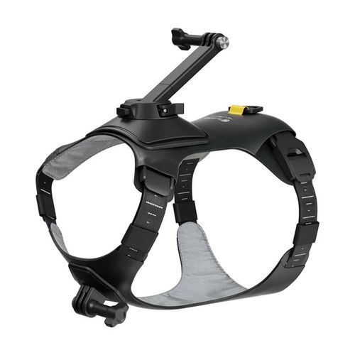 Pet harness size S for mounting Insta360 GO 3/ GO 3S cameras, Insta360 CINSBAVX