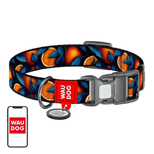 Waudog "Oranges" nylon dog collar with QR code, size M, Waudog 281-4054