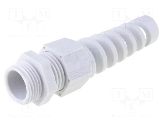 Cable gland; with strain relief; PG11; IP68; polyamide 6 HELUKABEL HELU-93863