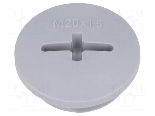 Stopper; M20; 1.5; IP54; polyamide; dark grey; SKINDICHT®; 6mm LAPP BLK-GL-M20-R7001