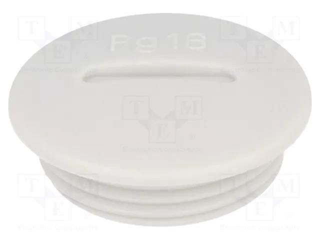 Stopper; PG16; IP54; polyamide; grey; V-N-FS; Thread: PG; 6mm HUMMEL HUMMEL-1251160011