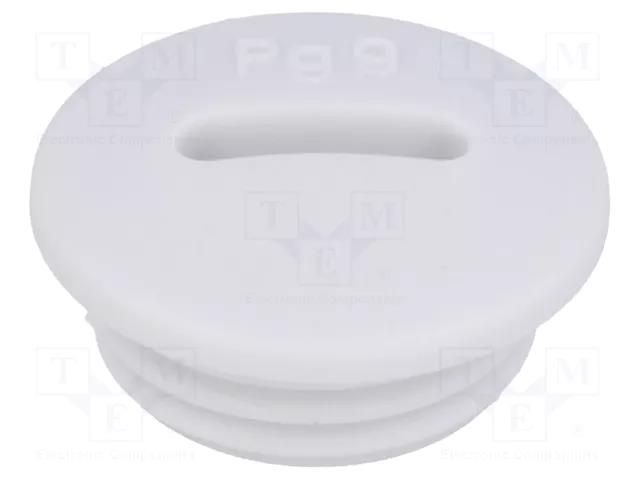 Stopper; PG9; IP54; polyamide; grey; V-N-FS; Thread: PG; 6mm HUMMEL HUMMEL-1251090011