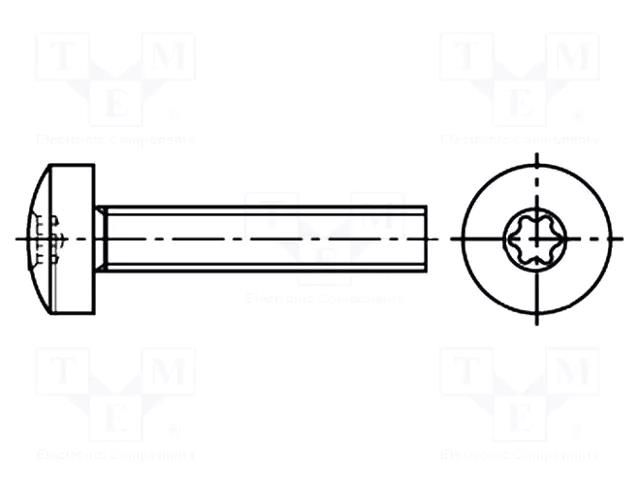 Screw; M3x6; 0.5; Head: cheese head; Torx®; TX10; steel; zinc BOSSARD B3X6/BN30503