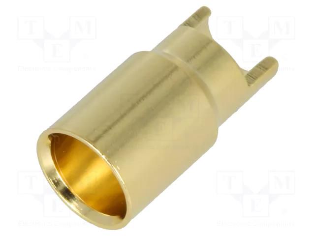 Connector: 6mm banana; socket; 60A; 8AWG; 0.2mΩ AMASS GC6010-F