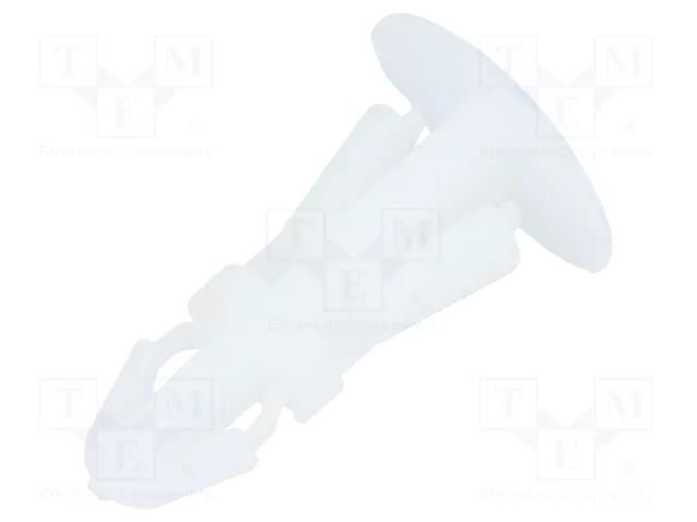 Assembly stud; polyamide; L: 8mm; latch/latch; Ø2: 5.4mm; Ø1: 4mm FIX&FASTEN FIXLCBSC-8-66