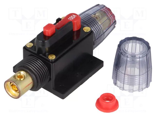 Fuse: automatic; 100A; time-lag; automotive; 4.2x10x4.2mm 4CARMEDIA SBA.02-100A