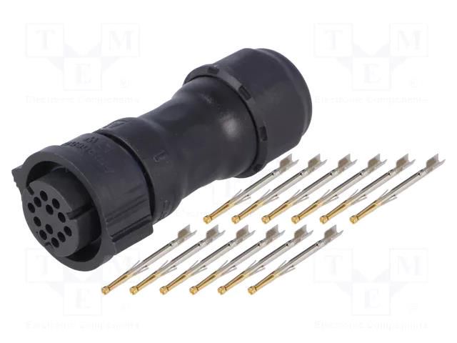 Connector: circular; plug; for cable; PIN: 12; female; crimped; IP68 AMPHENOL LTW CD-12BFFA-QL8MP0