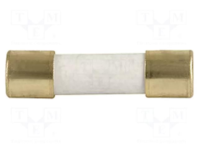 Fuse: fuse; 16A; 250VAC; 125VDC; time-lag; ceramic,cylindrical SCHURTER 0001.2716.11