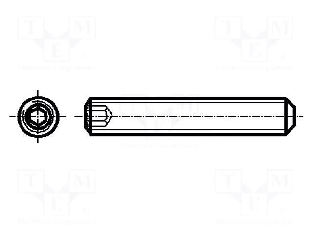 Screw; M3x20; 0.5; Head: without head; hex key; HEX 1.5mm; steel BOSSARD B3X20/BN28