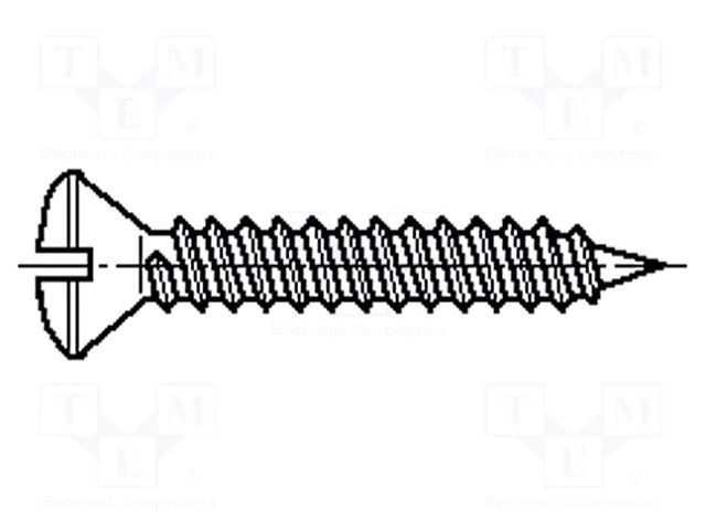 Screw; 2.9x25; Head: countersunk; slotted; 0.8mm; hardened steel BOSSARD B2.9X25/BN991