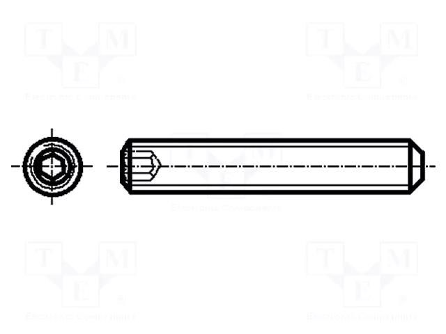 Screw; M1.6x3; 0.35; Head: without head; hex key; HEX 0,7mm BOSSARD B1.6X3/BN617