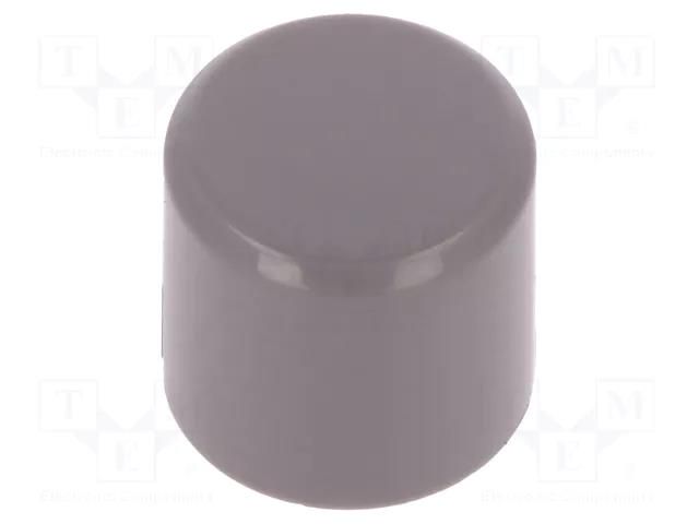 Button; grey; polyamide; Application: PVA C&K PVGY