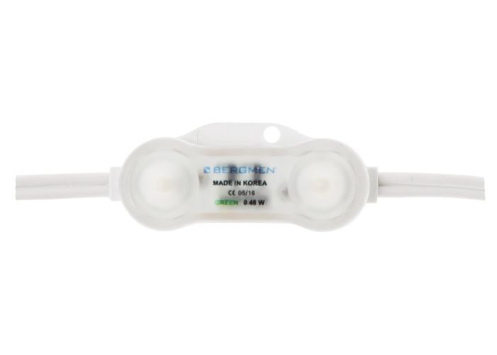 BERGMEN LED module RX-2 Stark / 12VDC / 0,48W / 2 x 5050 SMD / IP68 / blue 01-001-038-07-04 5903268404311